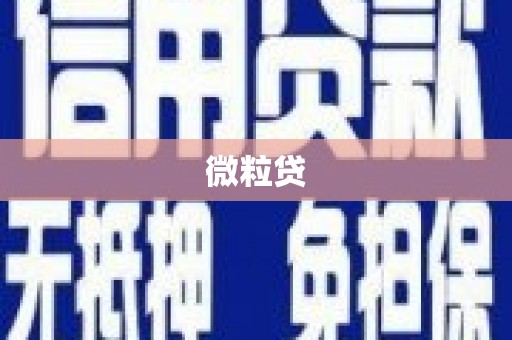井陉微粒贷