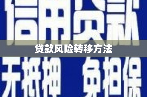 井陉贷款风险转移方法