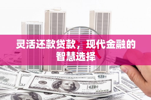 井陉灵活还款贷款，现代金融的智慧选择