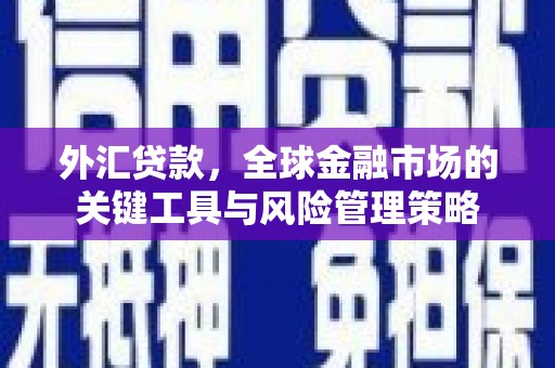 井陉外汇贷款，全球金融市场的关键工具与风险管理策略
