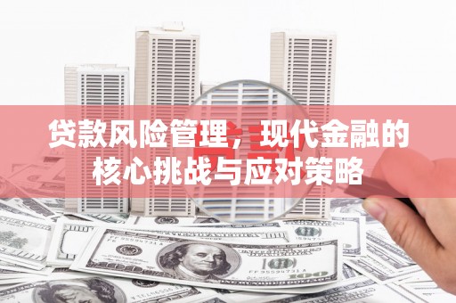 井陉贷款风险管理，现代金融的核心挑战与应对策略