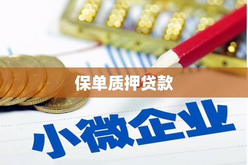 井陉保单质押贷款