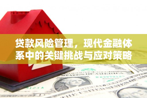 井陉贷款风险管理，现代金融体系中的关键挑战与应对策略