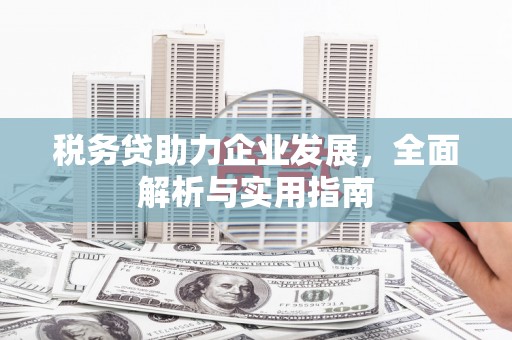 井陉税务贷助力企业发展，全面解析与实用指南