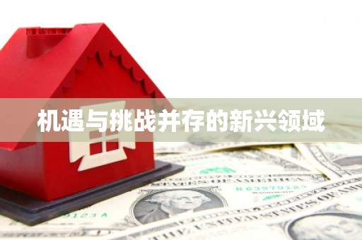 井陉机遇与挑战并存的新兴领域